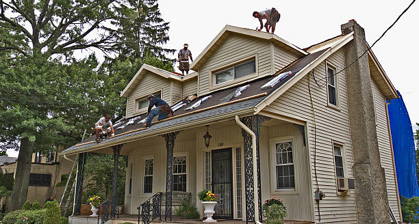 Best Metal Roofing Contractor  in Muenster, TX